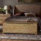 Quintin Trunk - Worn Oak