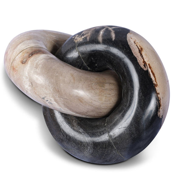Petrified Wood Knot - Dark Petrified Wood