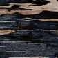 Petrified Wood Knot - Dark Petrified Wood