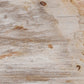 Petrified Wood Knot - Dark Petrified Wood