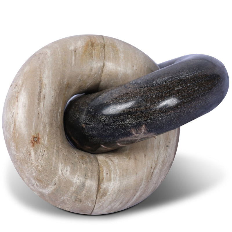 Petrified Wood Knot - Dark Petrified Wood