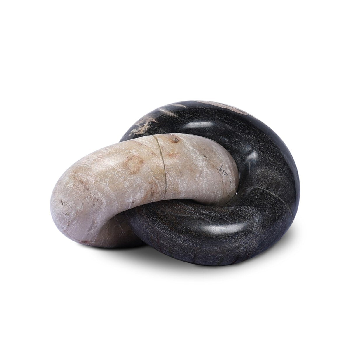 Petrified Wood Knot - Dark Petrified Wood