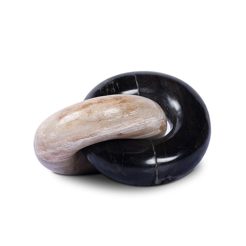 Petrified Wood Knot - Dark Petrified Wood