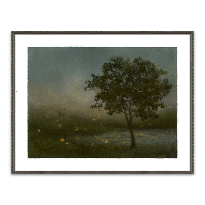 Firefly Field by Lina Gordievsky - Brimfield Black