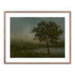 Firefly Field by Lina Gordievsky - Rustic Walnut