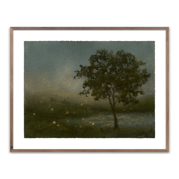 Firefly Field by Lina Gordievsky - Rustic Walnut