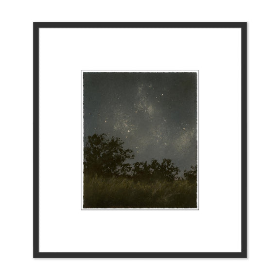 Seeds Of Light II by Lina Gordievsky - Black Maple
