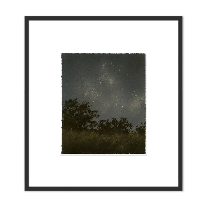 Seeds Of Light II by Lina Gordievsky - Black Maple