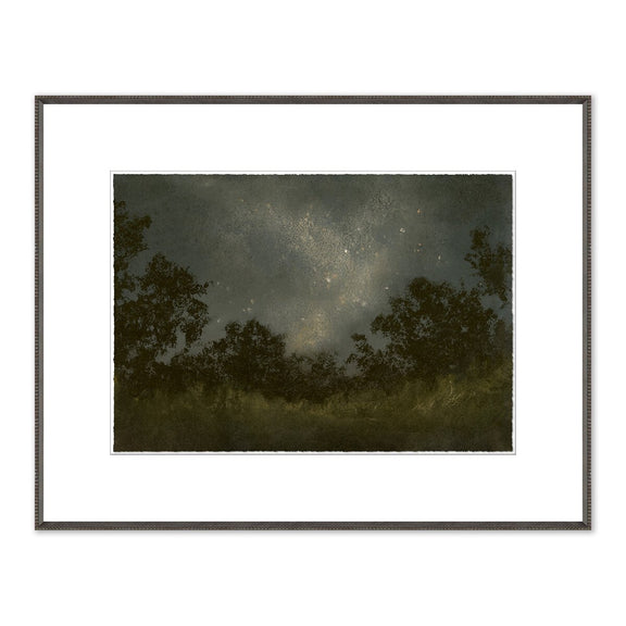 Seeds Of Light by Lina Gordievsky - Brimfield Black