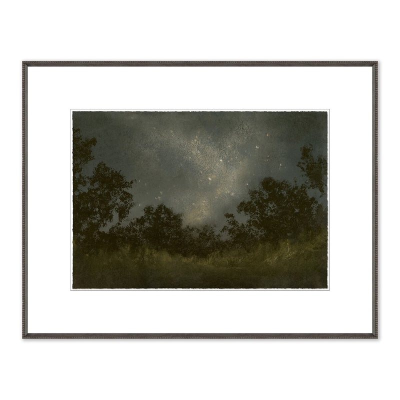 Seeds Of Light by Lina Gordievsky - Brimfield Black