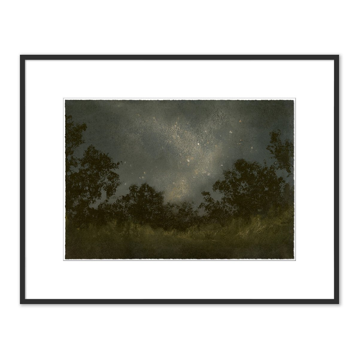 Seeds Of Light by Lina Gordievsky - Black Maple