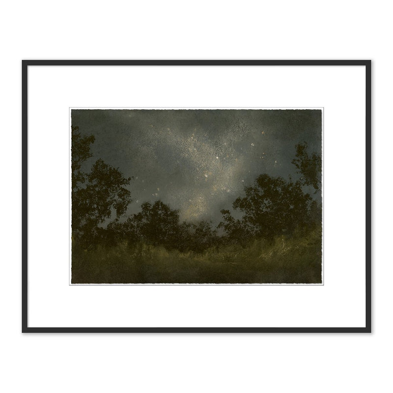 Seeds Of Light by Lina Gordievsky - Black Maple