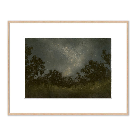 Seeds Of Light by Lina Gordievsky - White Oak