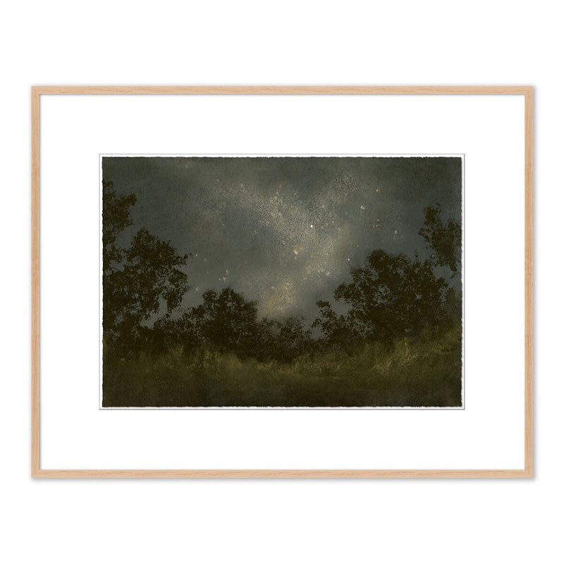 Seeds Of Light by Lina Gordievsky - White Oak
