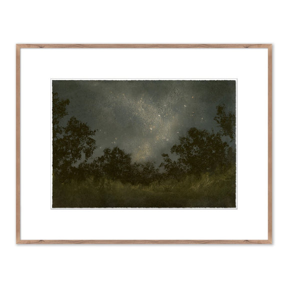 Seeds Of Light by Lina Gordievsky - Rustic Walnut