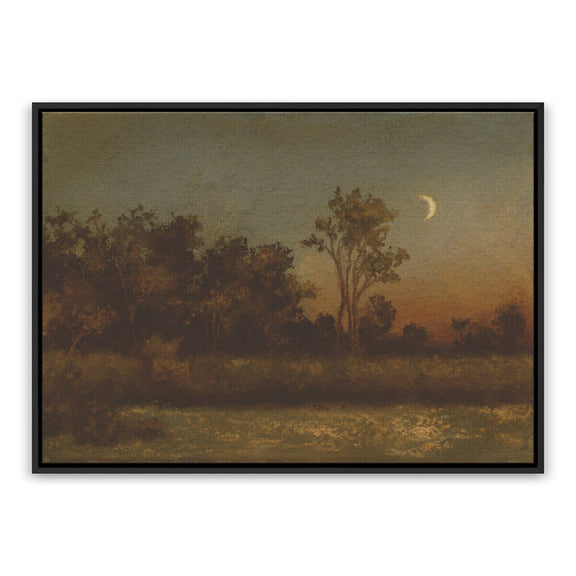 Still Of The Night by Lina Gordievsky - Black Maple