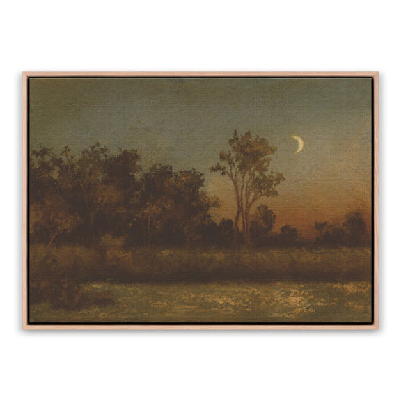 Still Of The Night by Lina Gordievsky - White Oak