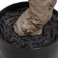 Faux Aralia Tree - Faux Aralia Tree