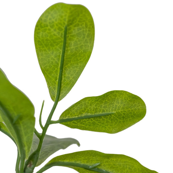 Faux Aralia Tree - Faux Aralia Tree