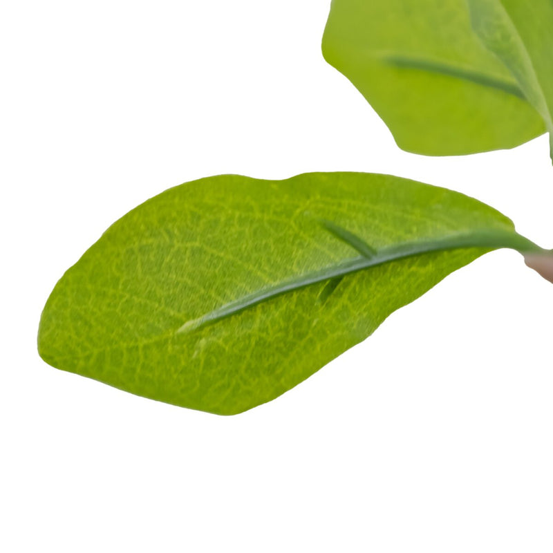 Faux Aralia Tree - Faux Aralia Tree