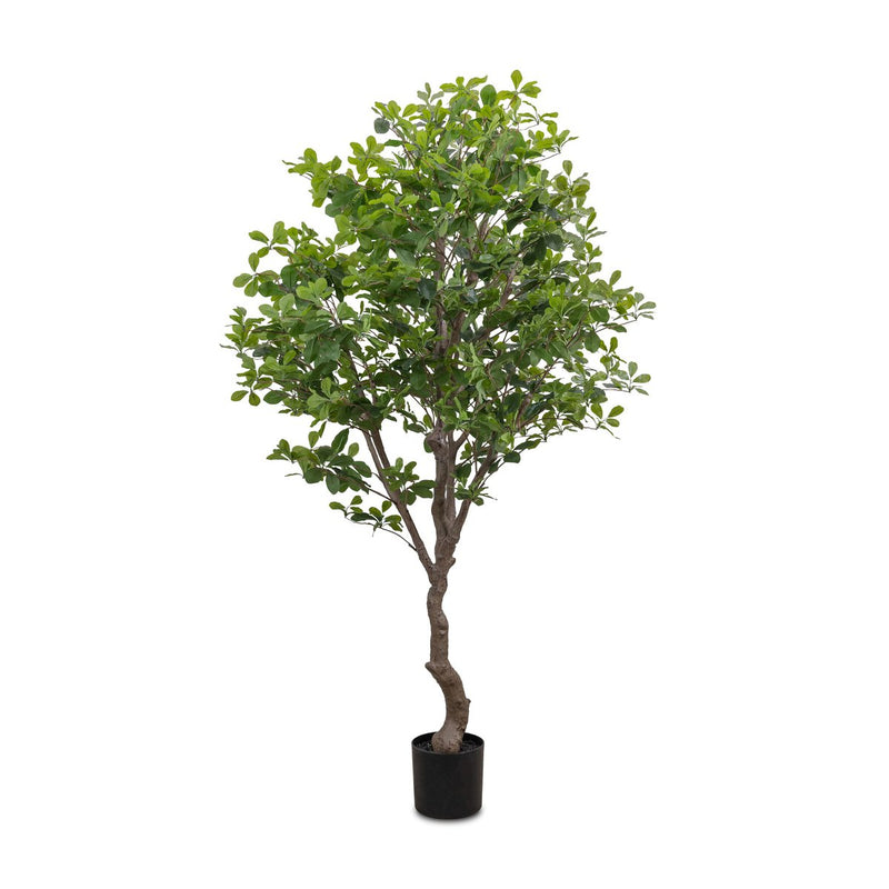 Faux Aralia Tree - Faux Aralia Tree