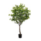 Faux Aralia Tree - Faux Aralia Tree