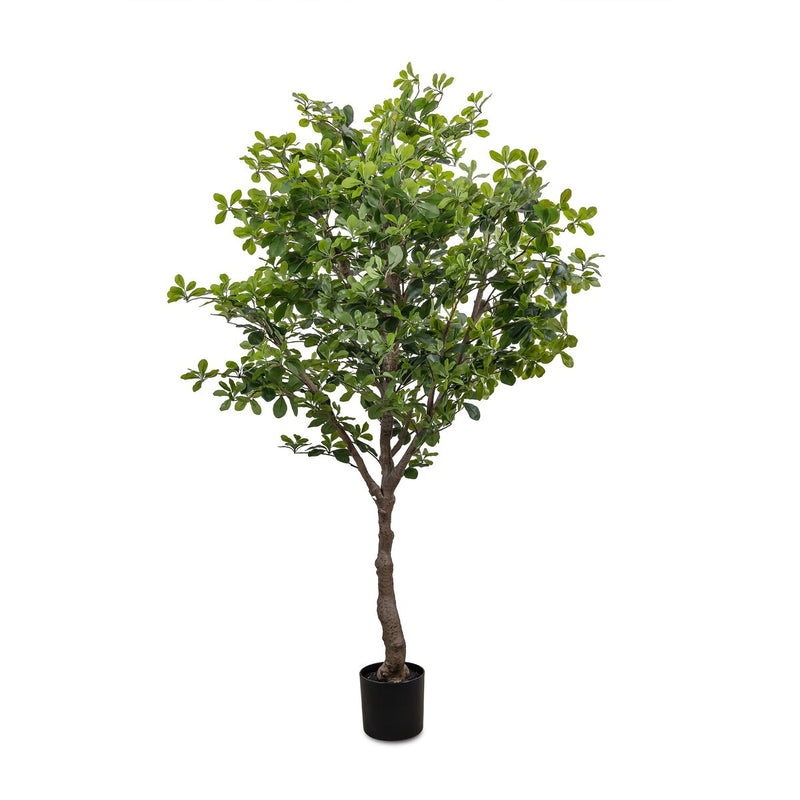 Faux Aralia Tree - Faux Aralia Tree