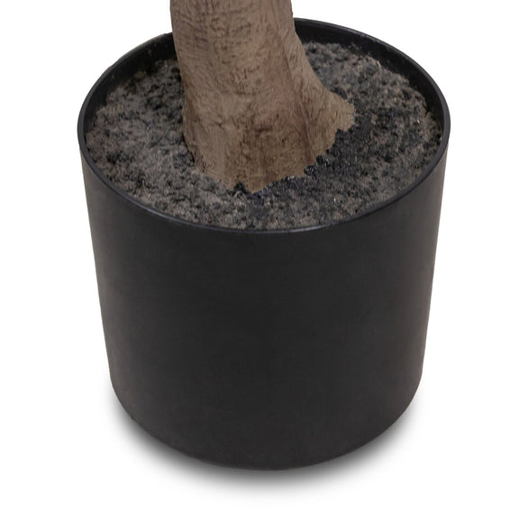 Faux Aralia Tree - Faux Aralia Tree