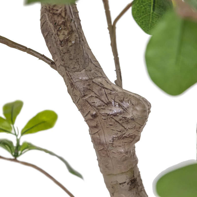 Faux Aralia Tree - Faux Aralia Tree