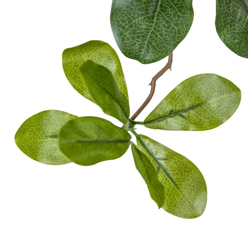 Faux Aralia Tree - Faux Aralia Tree
