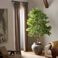 Faux Aralia Tree - Faux Aralia Tree
