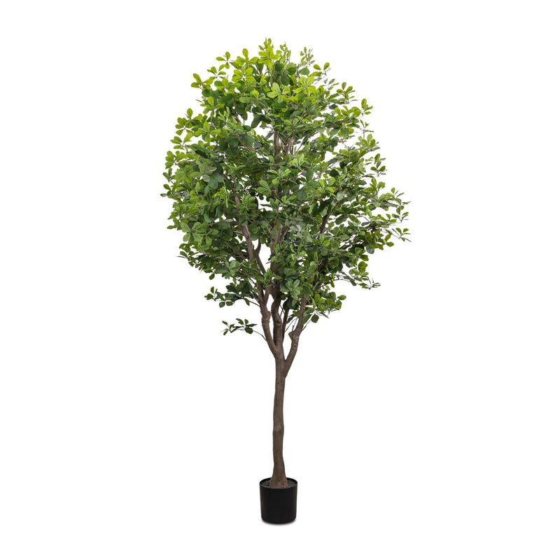 Faux Aralia Tree - Faux Aralia Tree