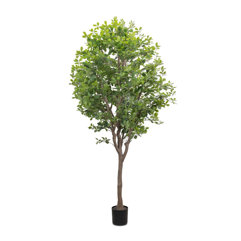 Faux Aralia Tree - Faux Aralia Tree