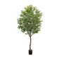 Faux Aralia Tree - Faux Aralia Tree