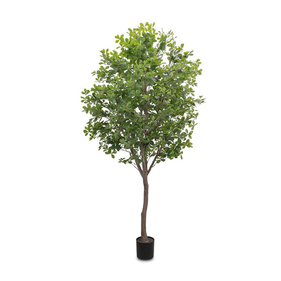 Faux Aralia Tree - Faux Aralia Tree