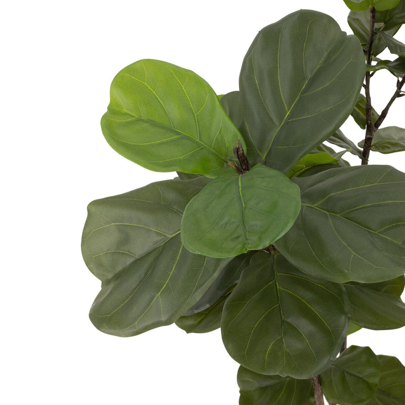 Faux Fiddle Leaf Tree - Faux Fiddle Leaf Tree