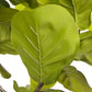 Faux Fiddle Leaf Tree - Faux Fiddle Leaf Tree