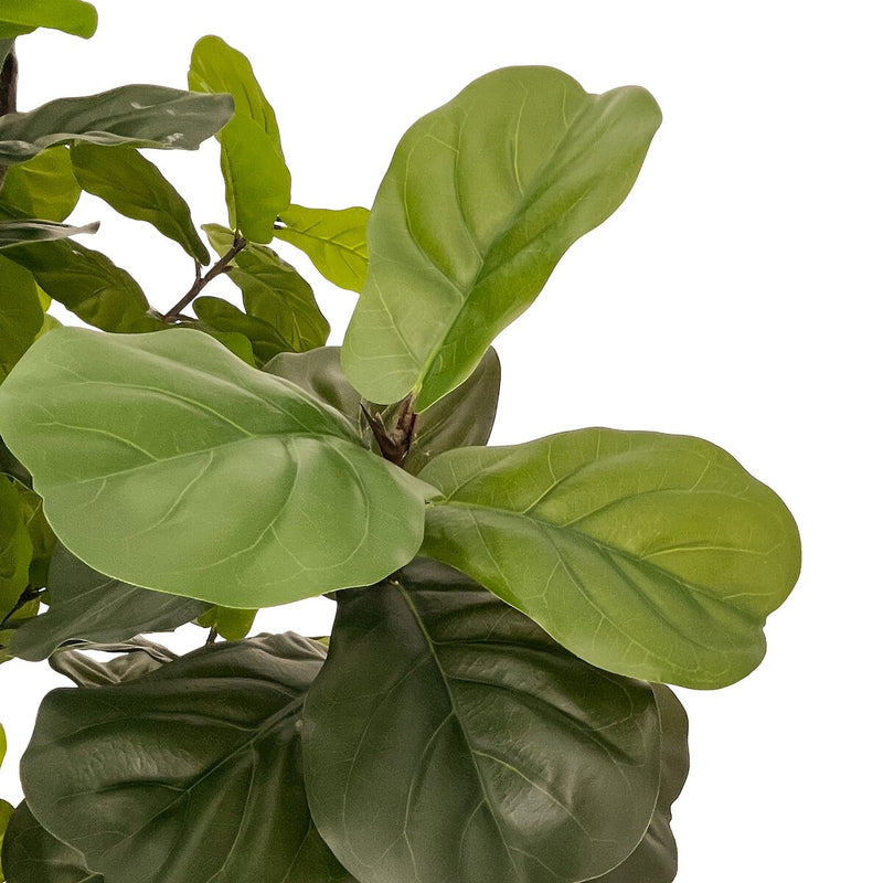 Faux Fiddle Leaf Tree - Faux Fiddle Leaf Tree