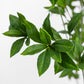 Faux Pieris Tree - Faux Pieris Tree