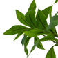 Faux Pieris Tree - Faux Pieris Tree