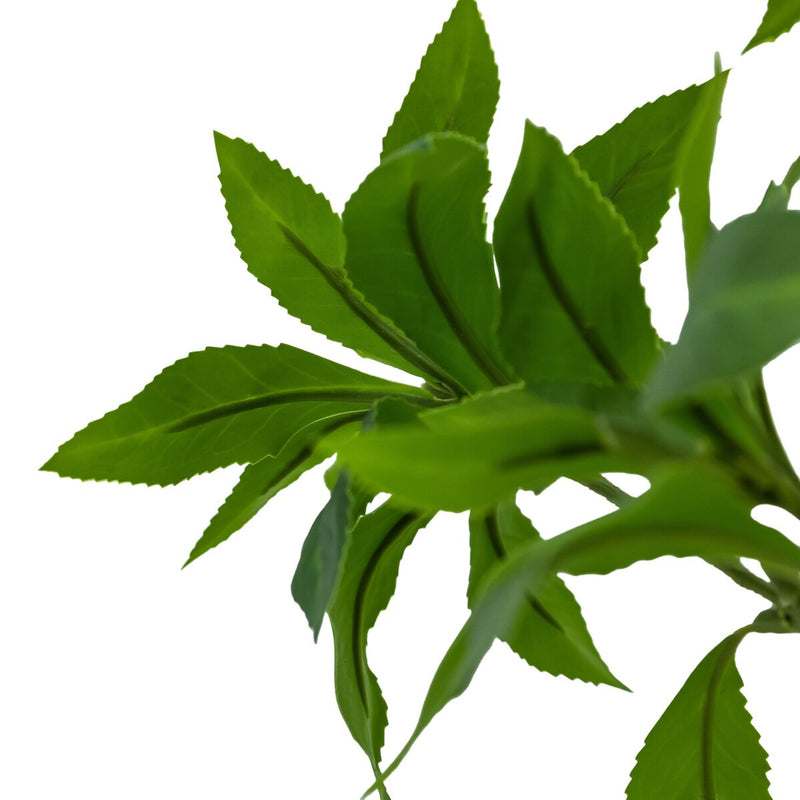 Faux Pieris Tree - Faux Pieris Tree