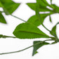 Faux Pieris Tree - Faux Pieris Tree