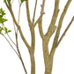 Faux Pieris Tree - Faux Pieris Tree