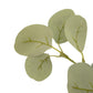Faux Eucalyptus Tree - Faux Eucalyptus Tree