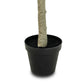 Faux Eucalyptus Tree - Faux Eucalyptus Tree