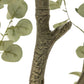 Faux Eucalyptus Tree - Faux Eucalyptus Tree