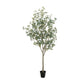 Faux Eucalyptus Tree - Faux Eucalyptus Tree