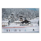 Skiing In Seefeld by Slim Aarons - White Maple