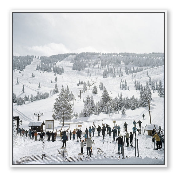 Skiing In Vail by Slim Aarons - White Maple