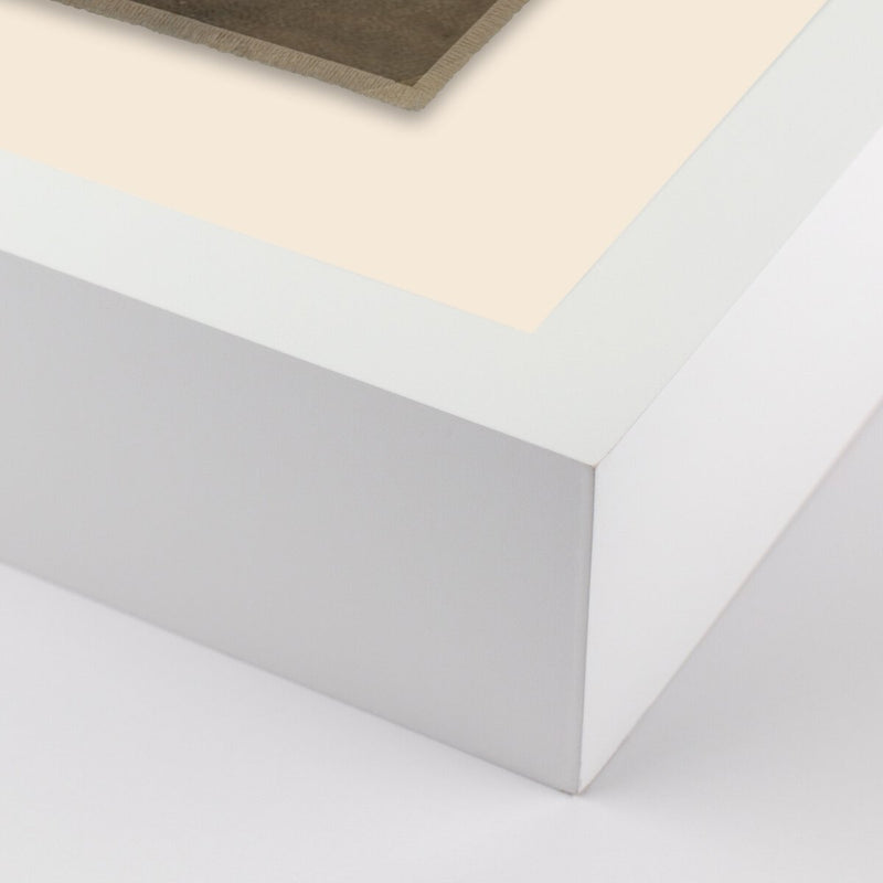 Liminal Space. No. 5 by Brooke Noel Morgan - White Maple